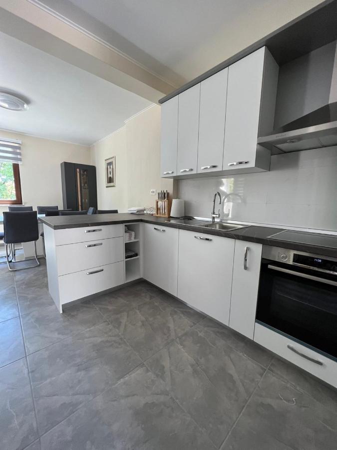 Apartman David Rijeka Buitenkant foto