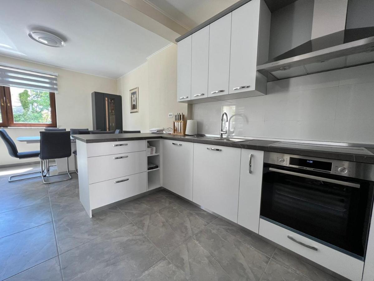 Apartman David Rijeka Buitenkant foto